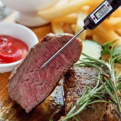 دماسنج میله ای غذا