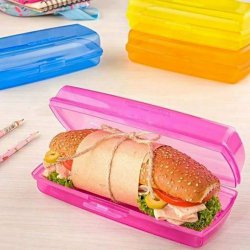 ظرف ساندویچ درخشان